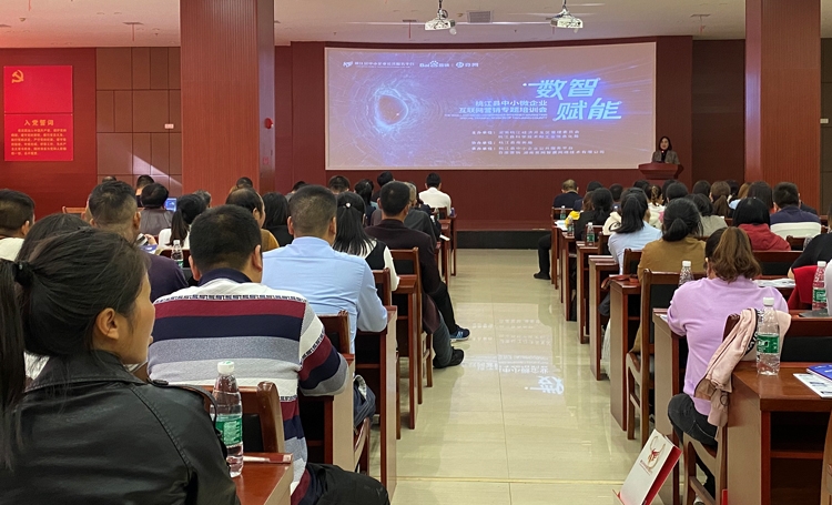 數智賦能 助力桃江縣中小企業全網營銷轉型升級
